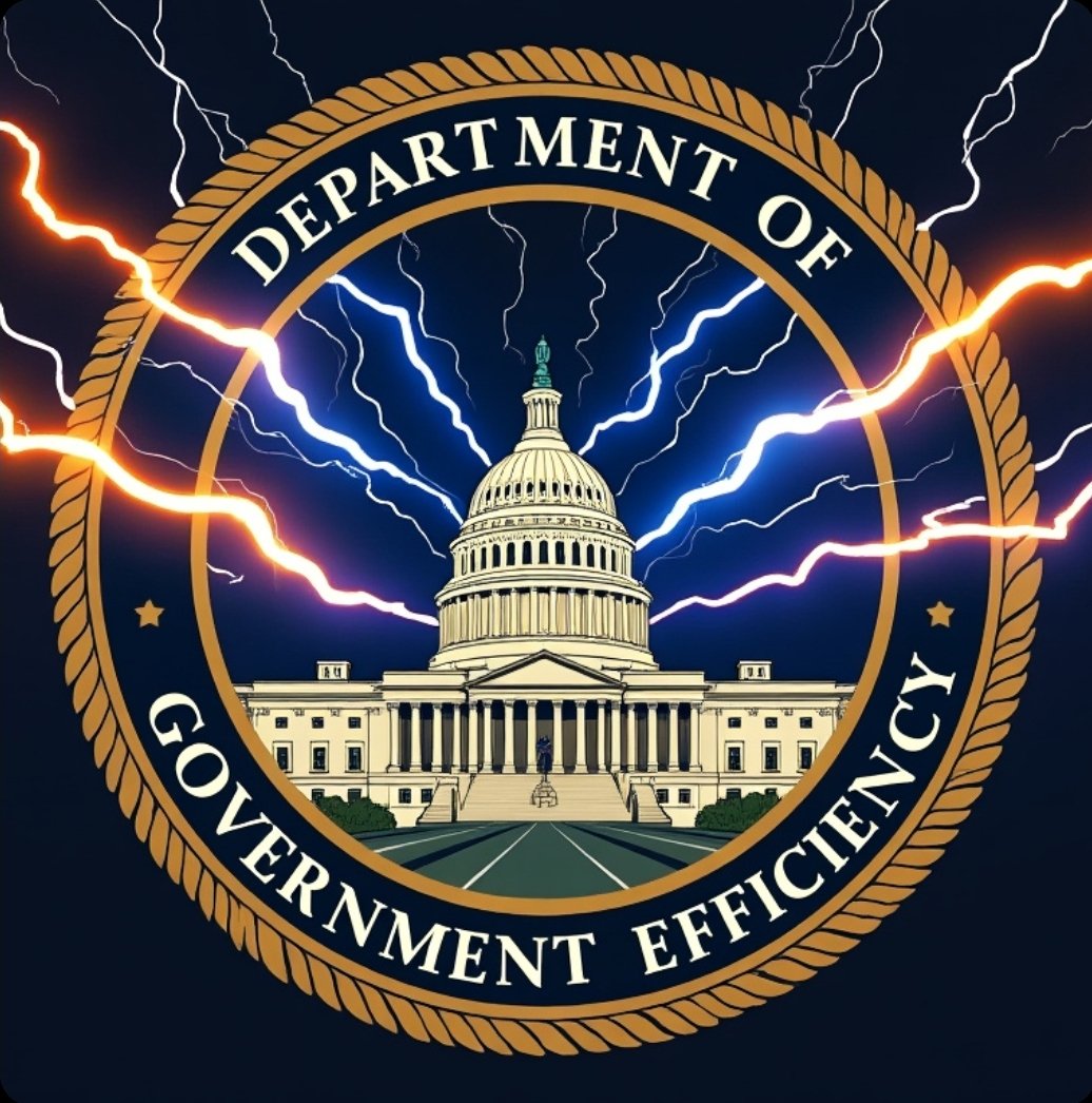Department of Government Efficiency